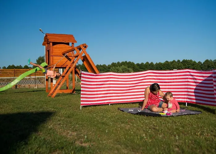 Dreamland Skorupki